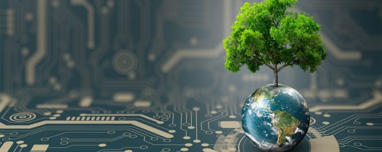 Ai In Conservation Leveraging Technology To Protect Biodiversity Einfo Ai