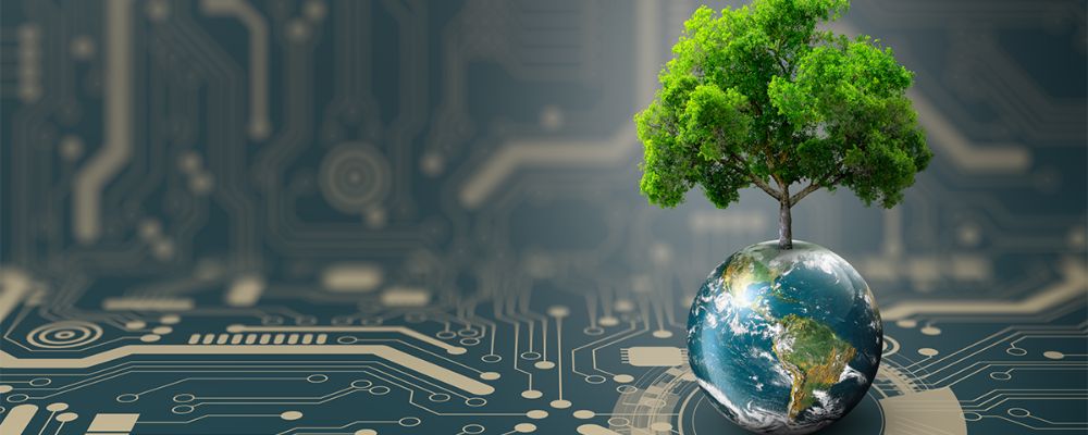 AI in Conservation Leveraging Technology to Protect Biodiversity